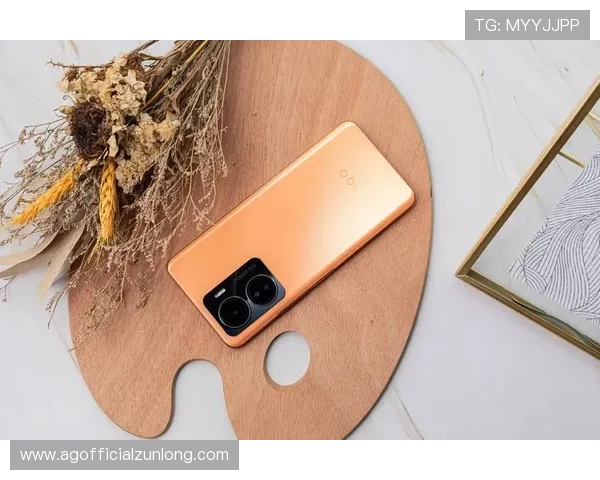 Z6就是博:Z6游戏最新活动与优惠信息全方位攻略指南 Z6就是博:Z6游戏最新活动与优惠信息全方位攻略指南