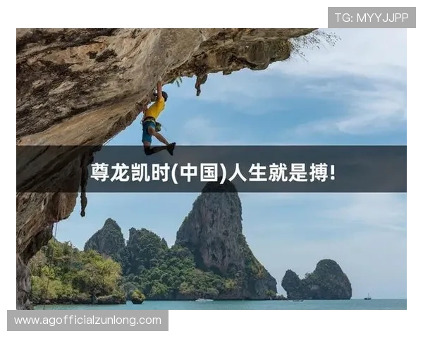 尊龙凯时平台的核心功能和操作流程详解帮助新手快速上手使用